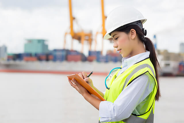 Bulk and Break Bulk Cargo